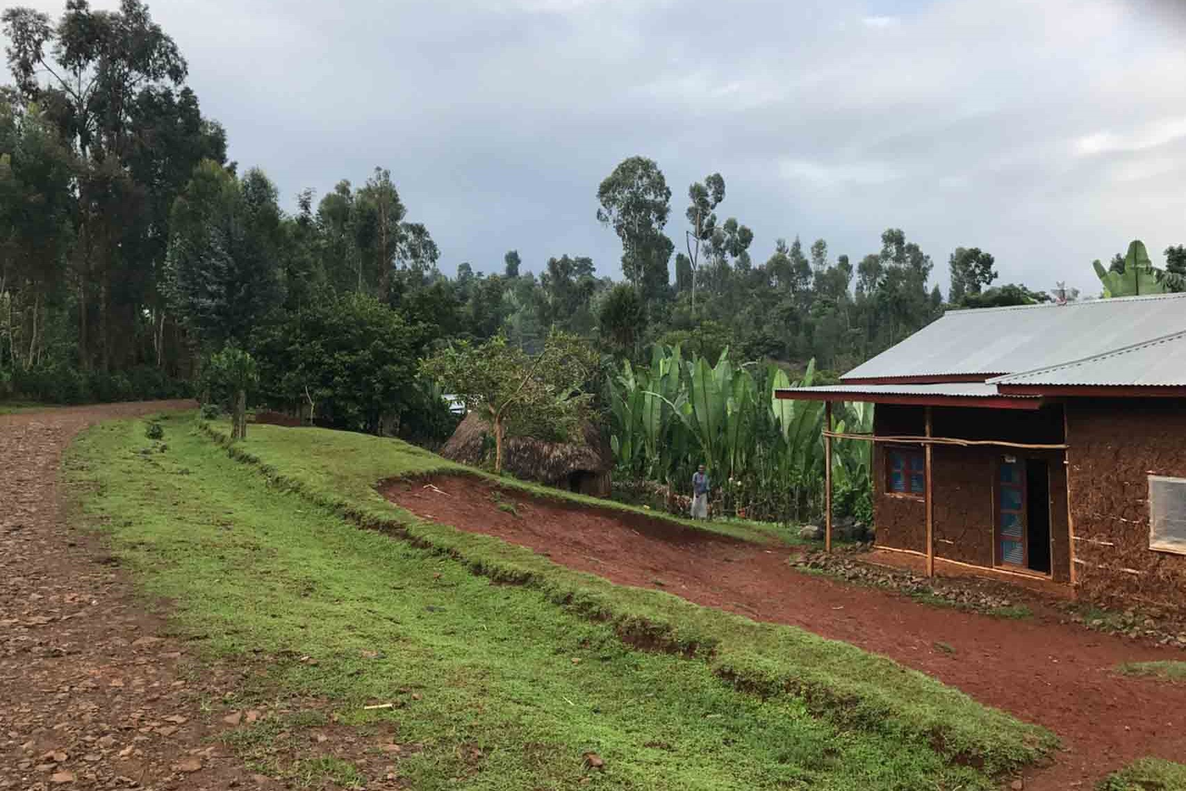 Kaffeefarm Äthiopien: Barkume Coffee Plantation