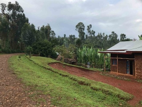 Kaffeefarm Äthiopien: Barkume Coffee Plantation